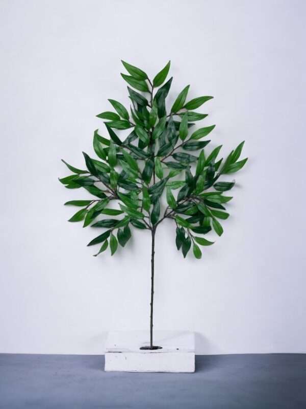 Rama de Hojas Ruscus 50cm