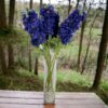 Delphinium Azul 94cm