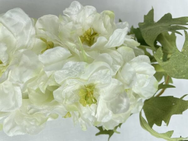 Delphinium Blanco 94cm
