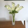 Delphinium Blanco 94cm