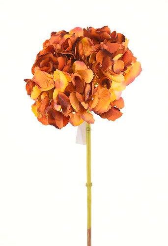 Hortensia Naranja 50cm