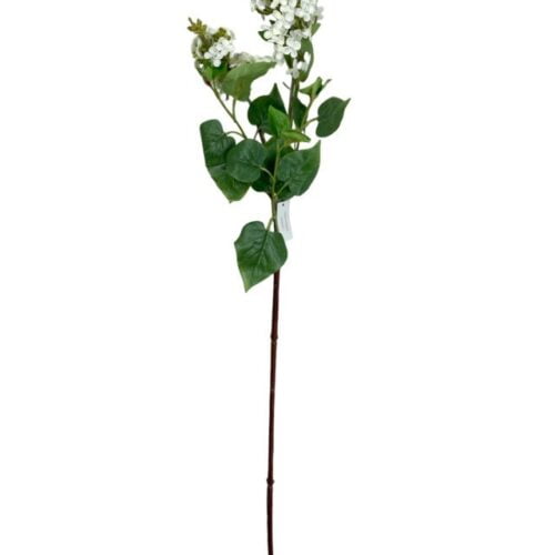 Lila Blanca 85cm