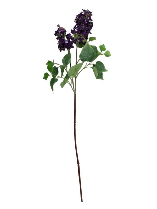 Lila Morada Oscura 85cm