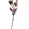 Rama Magnolia Fucsia 84cm