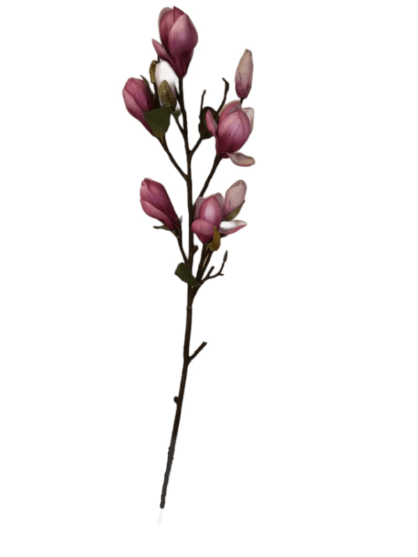 Rama Magnolia Fucsia 84cm