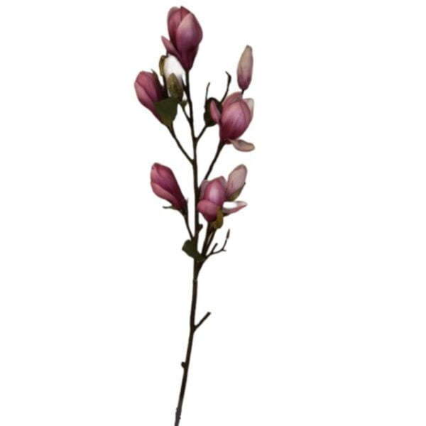 Rama Magnolia Fucsia 84cm