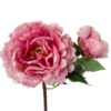 Peonia Con Botón Rosa 54cm