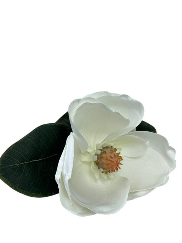 Magnolia Blanca 74cm