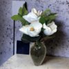 Magnolia Blanca 74cm