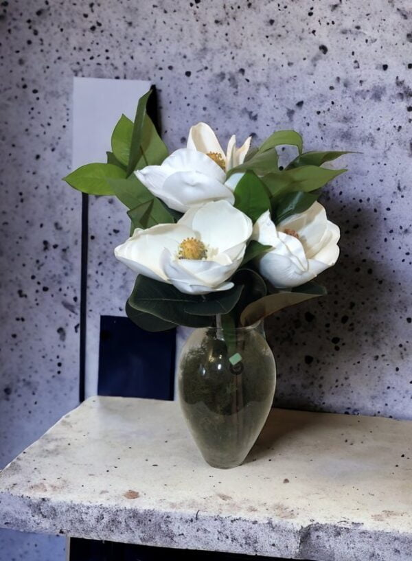 Magnolia Blanca 74cm