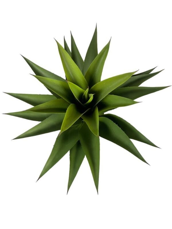 Agave Con Hoja Cerrada 75cm