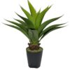 Agave Con Hoja Cerrada 75cm