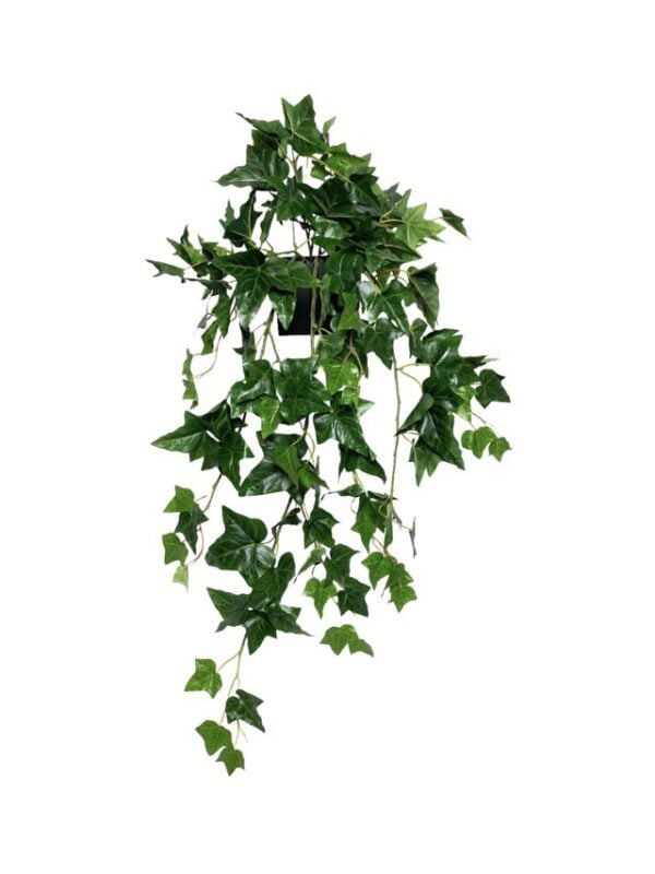 Hiedra English Ivy Hanging Bush 89cm