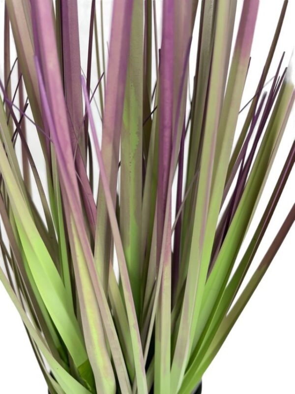 pasto cebolla morada 53cm