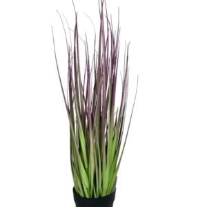 pasto cebolla morada 53cm