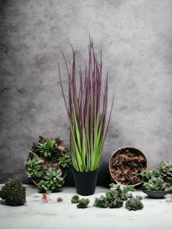 pasto cebolla morada 53cm