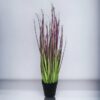 pasto cebolla morada 53cm