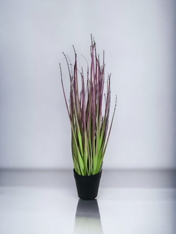 pasto cebolla morada 53cm