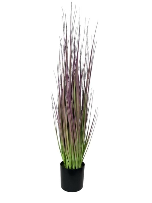 pasto-cebolla-morada-91cm