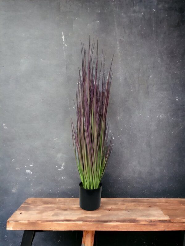 pasto-cebolla-morada-91cm
