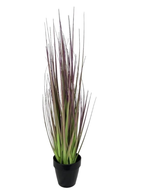 pasto-cebolla-morada-91cm