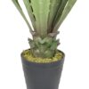 Agave Verde Aserrado de 98cm