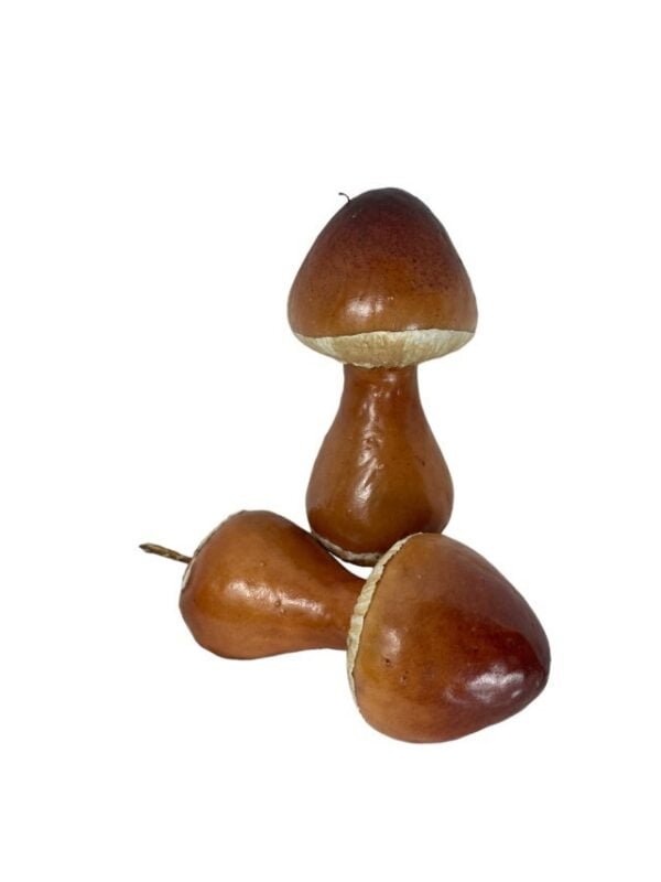 champiñón