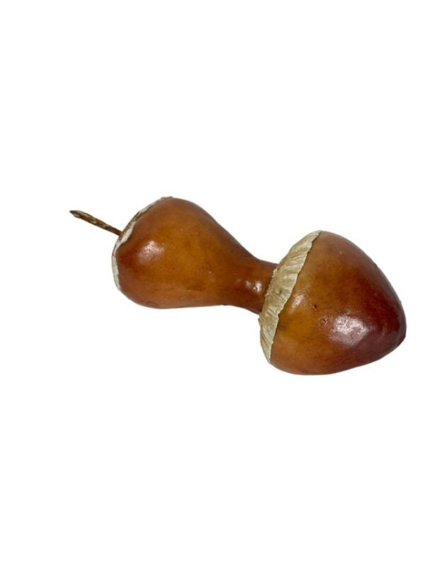 champiñón