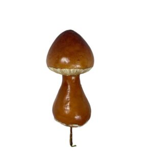 champiñón