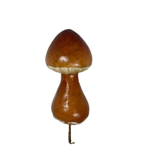 champiñón