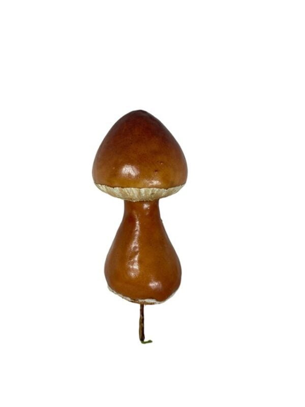 champiñón