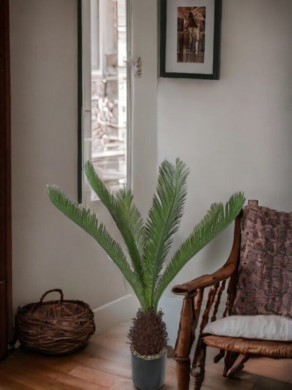 Palmera Cycas Revoluta 110cm