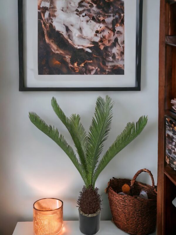Palmera Cycas Revoluta 110cm