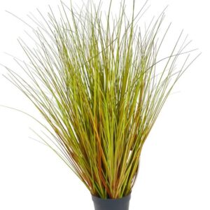 Pasto Cebolla Rojizo 90cm