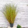 Pasto Cebolla Rojizo 90cm