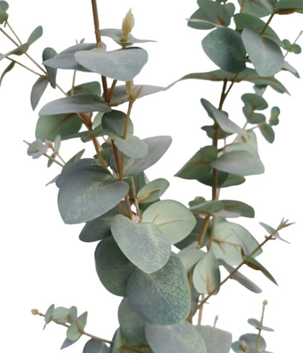 Árbol Eucalipto 180cm