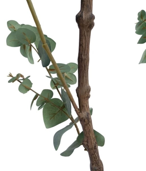 Árbol Eucalipto 180cm