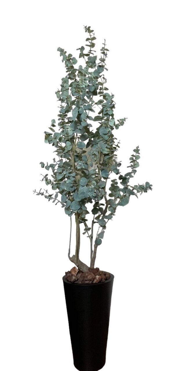 Árbol Eucalipto 180cm