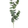 Rama de Eucalipto 79cm