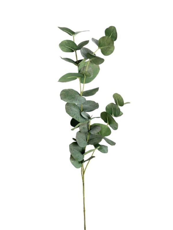 Rama de Eucalipto 79cm