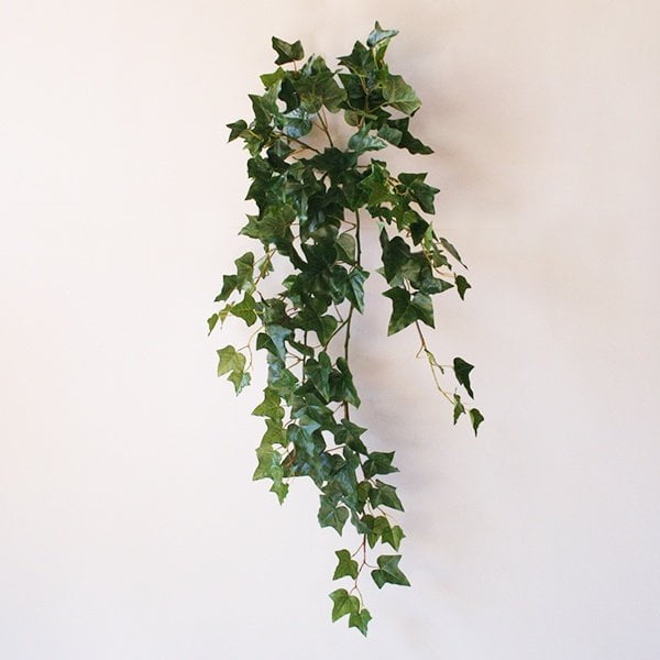 Hiedra English Ivy Hanging Bush 89cm