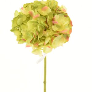 Hortensia Verde Oscuro 50cm