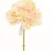 Hortensia Rosa Clara 50cm
