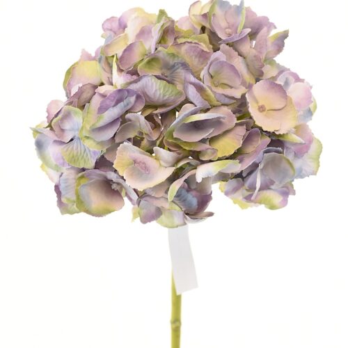 Hortensia Lila 50cm