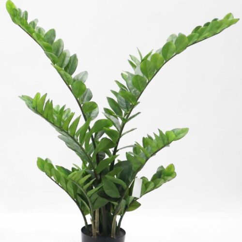 Planta Zamifolia 110cm