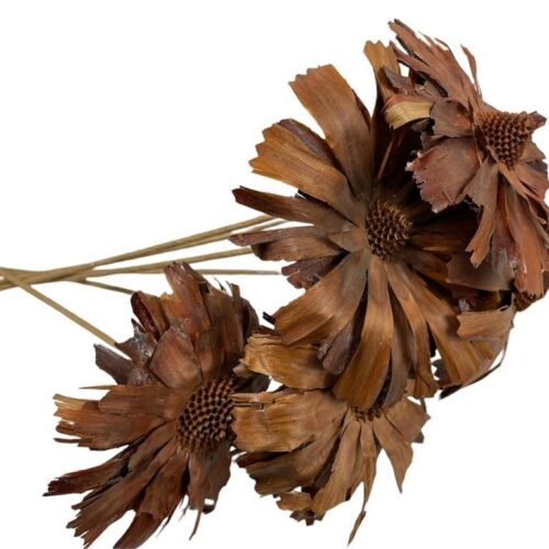Ramo de Flores Girasol Seco