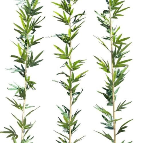 Bara De Bambú 120cm