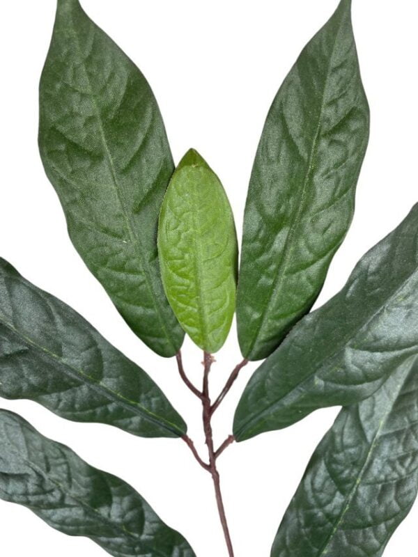 Rama de Ficus Verde-Mauve 50cm
