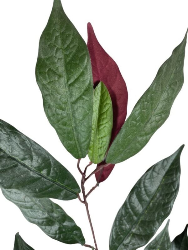 Rama de Ficus Verde-Mauve 50cm