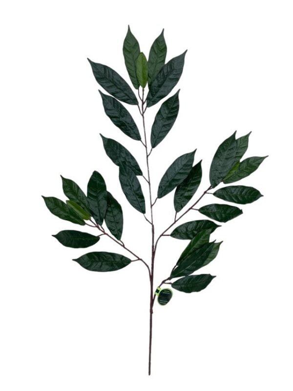 Rama de Ficus Verde-Mauve 50cm